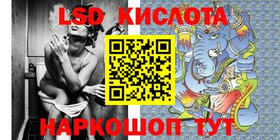 прущие грибы Усть-Джегута